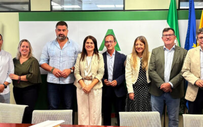 Una nueva línea eléctrica ofrecerá a la comarca la llegada de nuevos proyectos empresariales