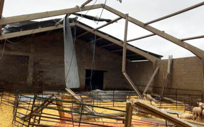 El paso de un tornado por El Almendro deja múltiples destrozos en la Finca Huerto Ramírez