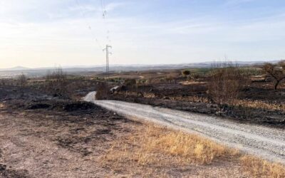 Calañas se sitúa entre los tres municipios onubenses más afectados por el fuego en el último verano