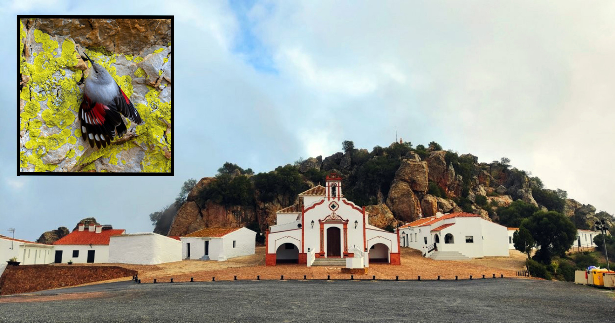 PueblaOrnito