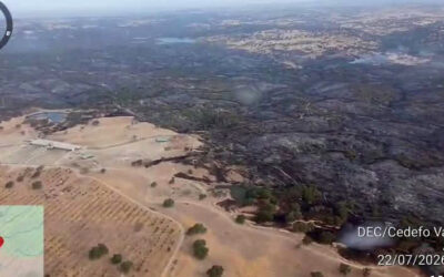 La Junta activa la fase de emergencia del Plan Infoca por el incendio forestal de El Cerro