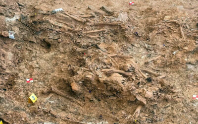 Recuperadas, al menos, nueve víctimas en la tercera fase de exhumaciones en Valverde