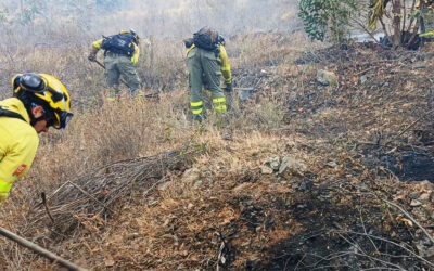 El Plan Infoca se emplea a fondo esta tarde en dos incendios en el Andévalo